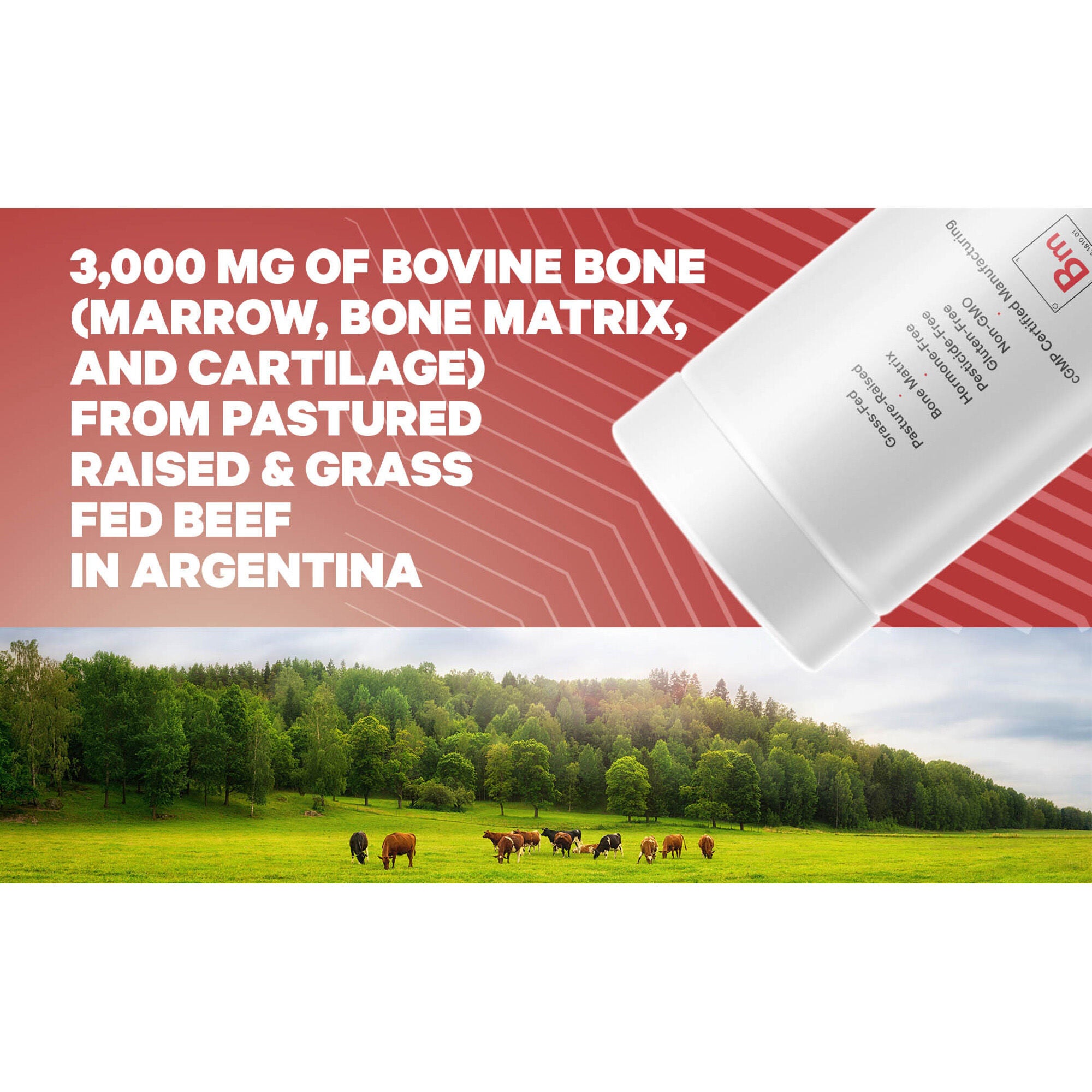Grass-Fed Bone Marrow - 3000 mg Bone Extract - 180 Capsules (30 Servings)